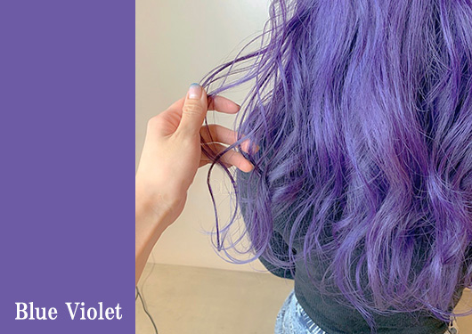 カラー　ブルーバイオレット
