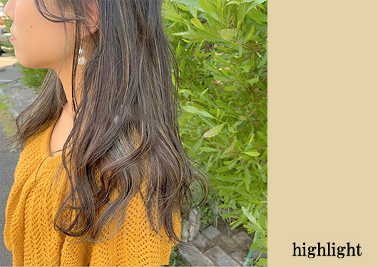 ハイライト