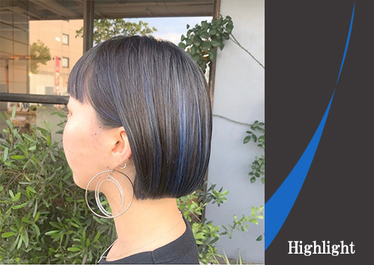 ハイライト　カラー
