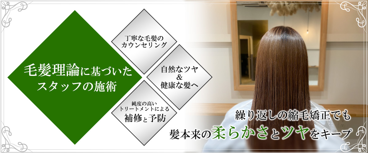毛髪改善ストレートコース